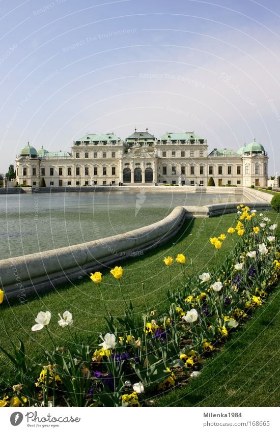 Wien, nur Wien Farbfoto Außenaufnahme Menschenleer Tag Panorama (Aussicht) Hauptstadt Burg oder Schloss Sehenswürdigkeit Kunst Belvedere Gebäude Sightseeing