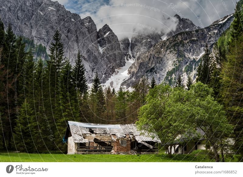 Verlassenes Zuhause, Hausruine vor Bergkulisse Ferien & Urlaub & Reisen Berge u. Gebirge Berghütte wandern Landschaft Pflanze Wolken Sommer schlechtes Wetter