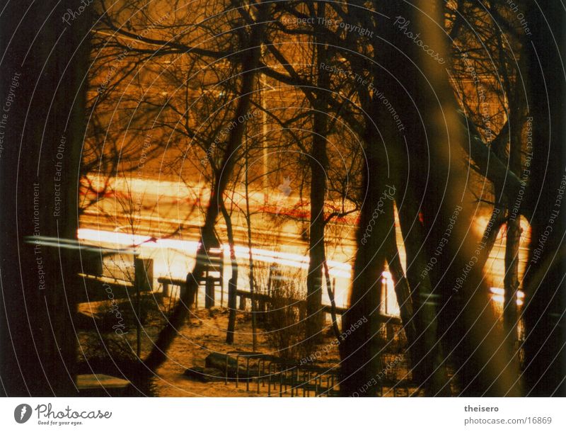 rush hour Baum rot Lichtschweif Langzeitbelichtung Straße PKW Lampe