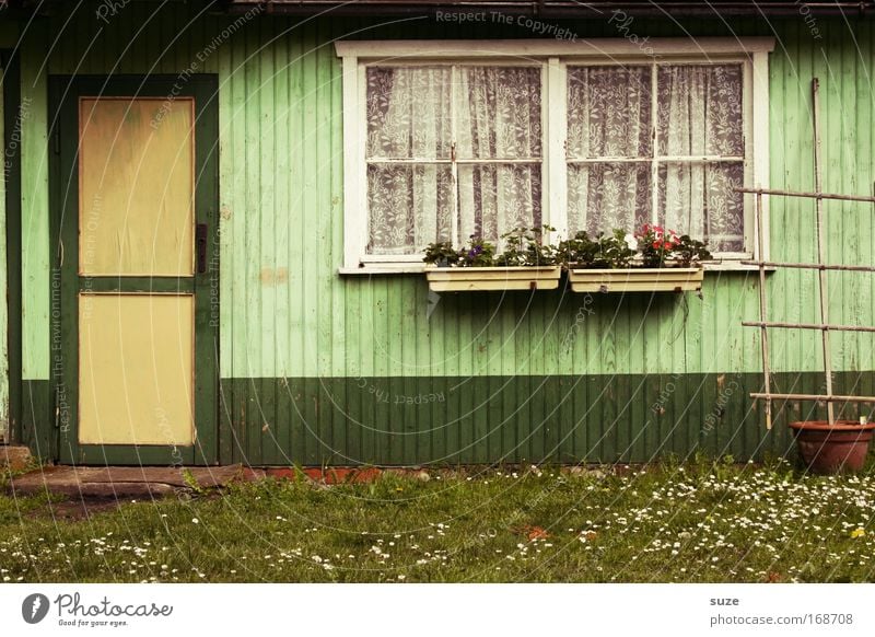 Laube Freizeit & Hobby Garten Umwelt Natur Sommer Wiese Hütte Mauer Wand Fassade Fenster Tür authentisch einfach grün Vergangenheit Vergänglichkeit Gartenhaus