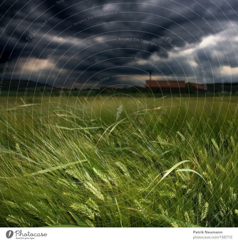 Gewitterfront Farbfoto Außenaufnahme Textfreiraum oben Abend Dämmerung Blitzlichtaufnahme Umwelt Natur Landschaft Wolken Gewitterwolken Frühling Sommer Klima