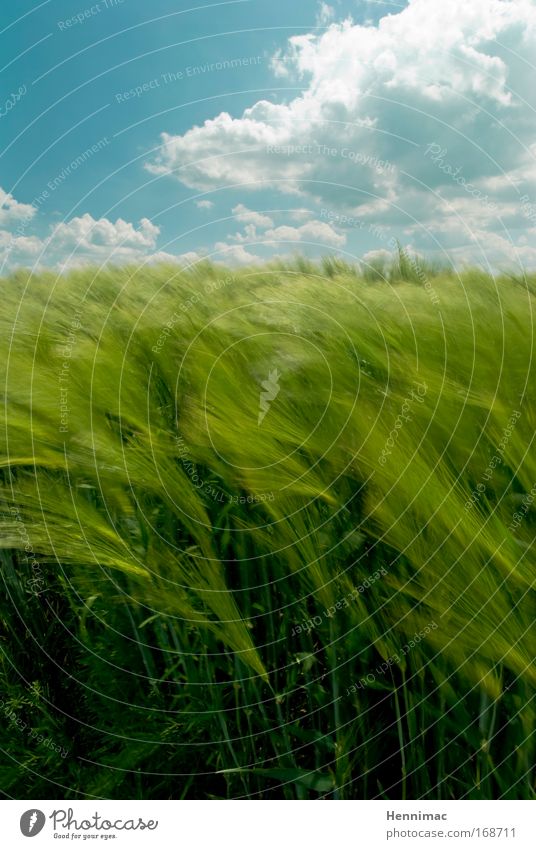 Windfenster II. Farbfoto mehrfarbig Außenaufnahme Tag Sonnenlicht Sonnenstrahlen Bewegungsunschärfe Weitwinkel Ferien & Urlaub & Reisen Tourismus Freiheit