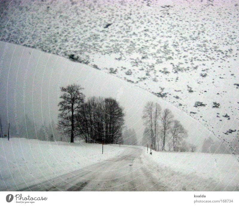 Winterfahrt Schwarzweißfoto Außenaufnahme Menschenleer Tag Zentralperspektive Ferne Freiheit Schnee Winterurlaub Umwelt Natur Landschaft Eis Frost Baum