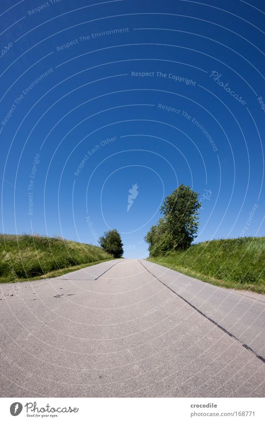 Feldweg Farbfoto Außenaufnahme Menschenleer Sonnenlicht Starke Tiefenschärfe Zentralperspektive Weitwinkel Landwirtschaft Umwelt Natur Landschaft Pflanze Erde