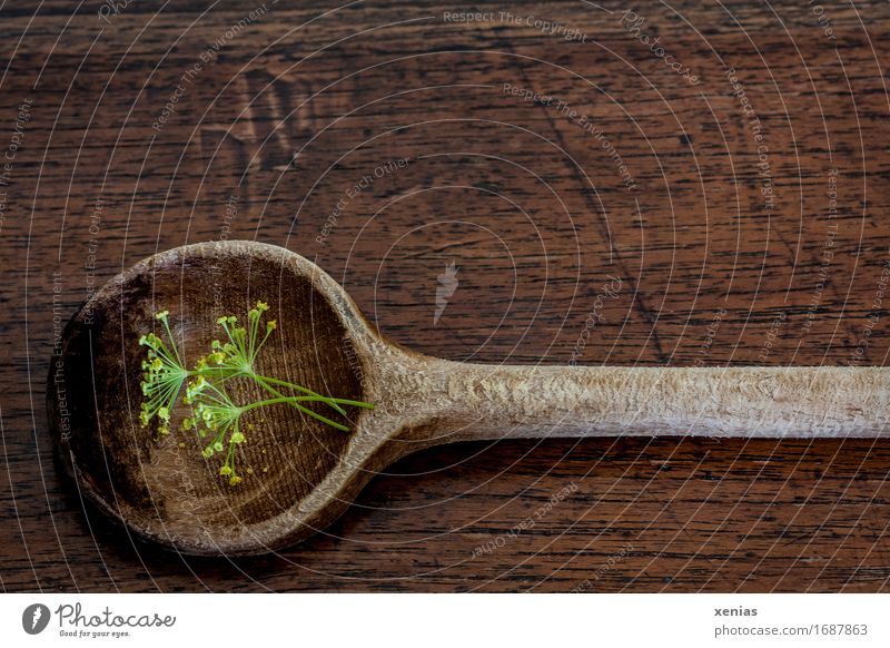 Kochlöffel mit Dillblüten liegt auf Holzuntergrund Kräuter & Gewürze Essen Löffel Küche braun gelb grün Maserung Hintergrundbild Holzmaserung würzen Bioprodukte