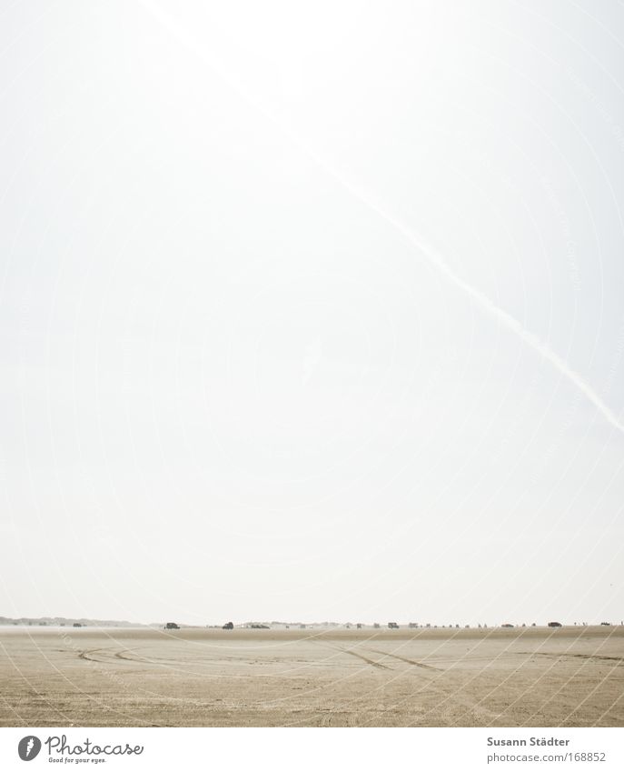 heute mal Strandtag! Farbfoto Gedeckte Farben Außenaufnahme Textfreiraum links Textfreiraum rechts Textfreiraum oben Textfreiraum unten Textfreiraum Mitte Tag