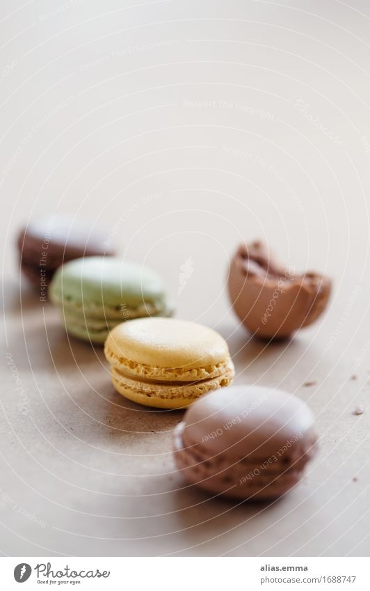 Macarons Französisch Keks Backwaren süß Dessert knusprig Plätzchen rund genießen Speise Essen Foodfotografie natürlich Süßwaren trendy ganache Füllung neutral