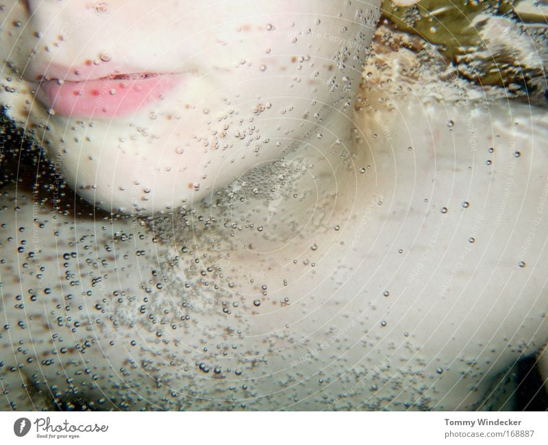 Beckenrandtaucher Unterwasseraufnahme Oberkörper Schwimmen & Baden tauchen Schwimmbad Kind Junge Kindheit Mund Lippen Wasser klein Freude Mut Bewegung Erfahrung