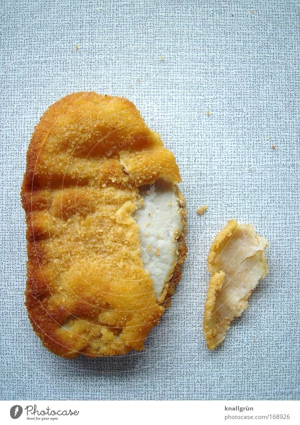 Das Schnitzel sieht bekloppt aus Farbfoto Studioaufnahme Nahaufnahme Menschenleer Textfreiraum rechts Textfreiraum oben Hintergrund neutral Lebensmittel Fleisch