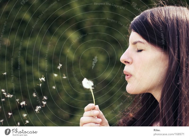 Pusteblume pusten. Farbfoto Außenaufnahme Textfreiraum links Textfreiraum oben Tag Sonnenlicht Zentralperspektive Porträt Profil geschlossene Augen Freude