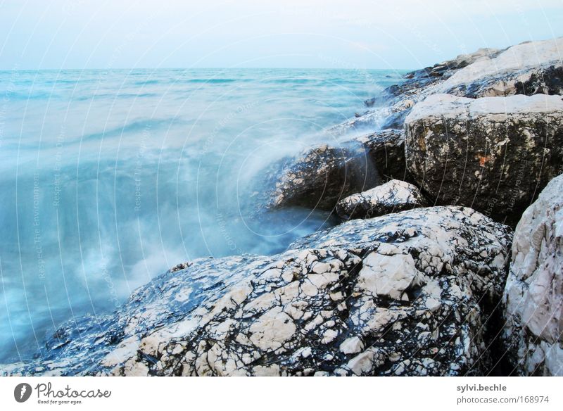 forces of nature Umwelt Natur Landschaft Urelemente Wasser Wolkenloser Himmel Horizont Wetter Wind Sturm Wellen Küste Meer Bewegung toben blau grau schwarz