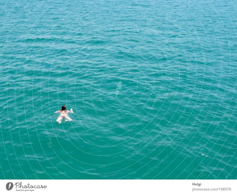 Freischwimmer... Farbfoto Außenaufnahme Luftaufnahme Textfreiraum rechts Textfreiraum oben Textfreiraum unten Tag Sonnenlicht Vogelperspektive Schwimmen & Baden