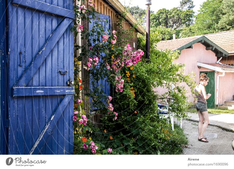 auf der Sonnenseite Ferien & Urlaub & Reisen Freiheit Sommer Traumhaus Garten Mensch feminin Junge Frau Jugendliche 1 18-30 Jahre Erwachsene Sträucher Rose