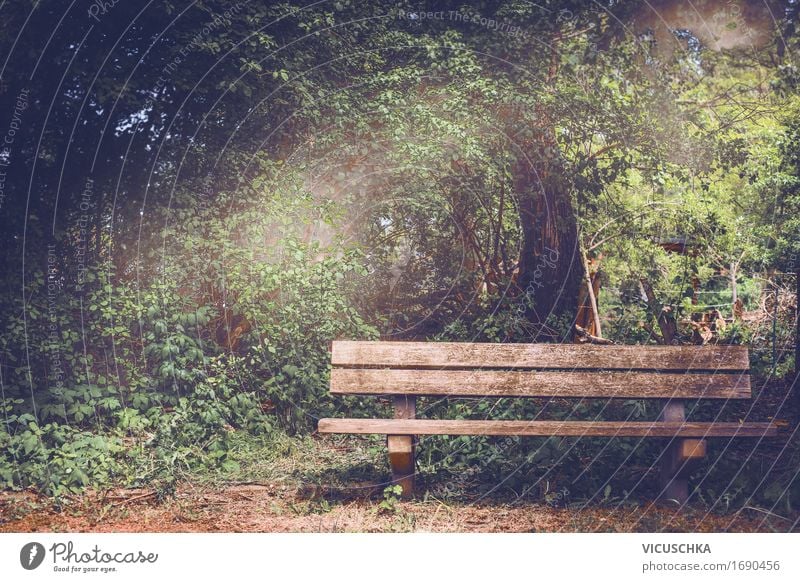 Alte Holzbank im Park Lifestyle Garten Möbel Natur Sommer Herbst Schönes Wetter Baum Sträucher Design blank old altehrwürdig U-Bahnbank Wald ruhig Idylle grün