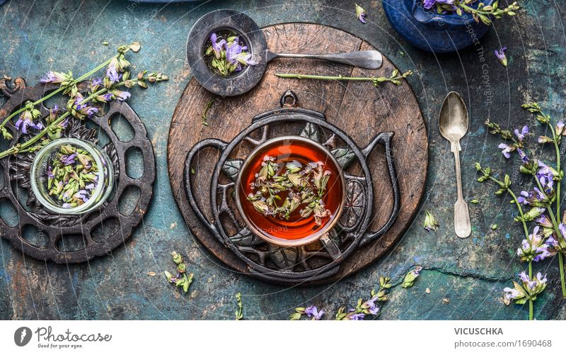 Tasse Kräutertee mit frischen Kräuter und Blumen. Getränk Heißgetränk Tee Geschirr Löffel Lifestyle Stil Gesundheit Alternativmedizin Gesunde Ernährung Leben