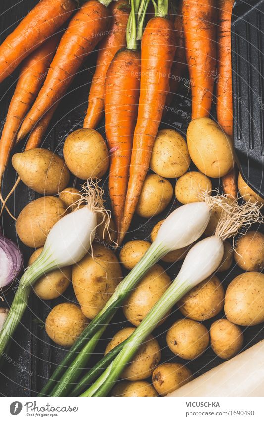 Gemüse aus dem Garten Lebensmittel Ernährung Slowfood Stil Gesunde Ernährung Sommer Natur Vegane Ernährung Bioprodukte Ernte Vegetarische Ernährung Herbst