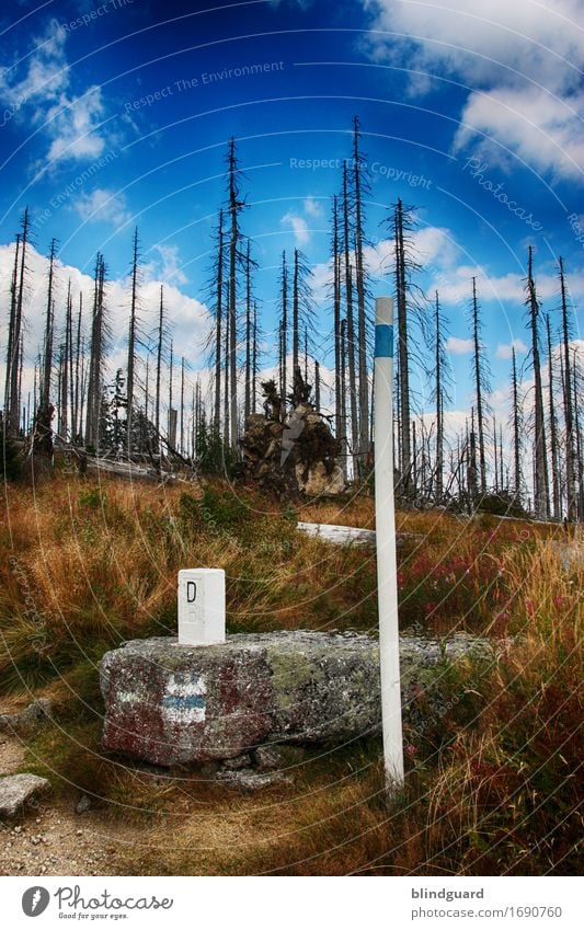 Across The Border Tourismus Ausflug Freiheit Sommer Berge u. Gebirge Umwelt Natur Landschaft Pflanze Wolken Klimawandel Baum Gras Sträucher Wald Felsen kaputt