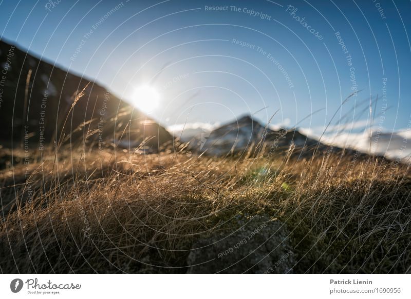 East Fjords Leben harmonisch Zufriedenheit Sinnesorgane Erholung Ferien & Urlaub & Reisen Abenteuer Sonne Insel Berge u. Gebirge wandern Umwelt Natur Landschaft