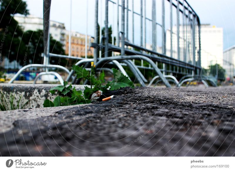 kavaliersdelikt? Straße Donau Donauinsel Musikfestival Barriere Feste & Feiern Fluss dreckig Hochhaus Zigarette zigarettenstummel Himmel Außenaufnahme