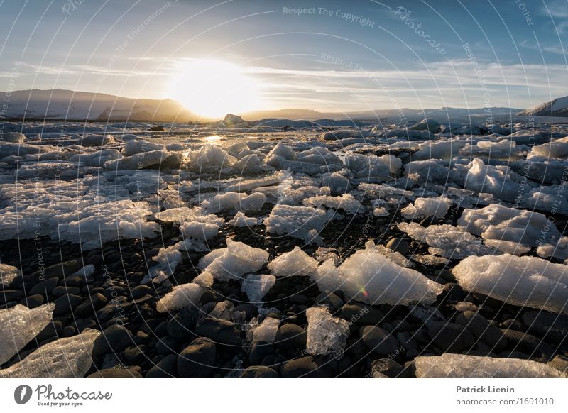 Glacier Bay schön Leben harmonisch Wohlgefühl Zufriedenheit Sinnesorgane Erholung ruhig Ferien & Urlaub & Reisen Tourismus Abenteuer Ferne Freiheit Sonne Insel