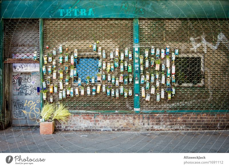 Urban Gardening I Pflanze Blume Gras Berlin Mauer Wand Stadt Tetrapak improvisieren Gartenarbeit Topfpflanze Farbfoto Außenaufnahme Menschenleer Tag