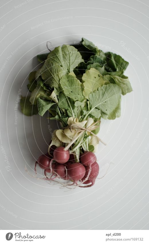 Radieschen von oben betrachten Farbfoto Innenaufnahme Textfreiraum oben Textfreiraum unten Tag Lebensmittel Gemüse Ernährung Mittagessen Abendessen Bioprodukte