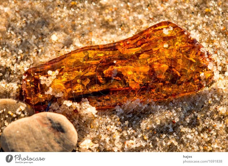 Bernstein am Ostseestrand Alternativmedizin Medikament Strand Sand Stein alt leuchten gelb Fund baltisch Baumharz strahlend Edelstein Halbedelstein Mineralien