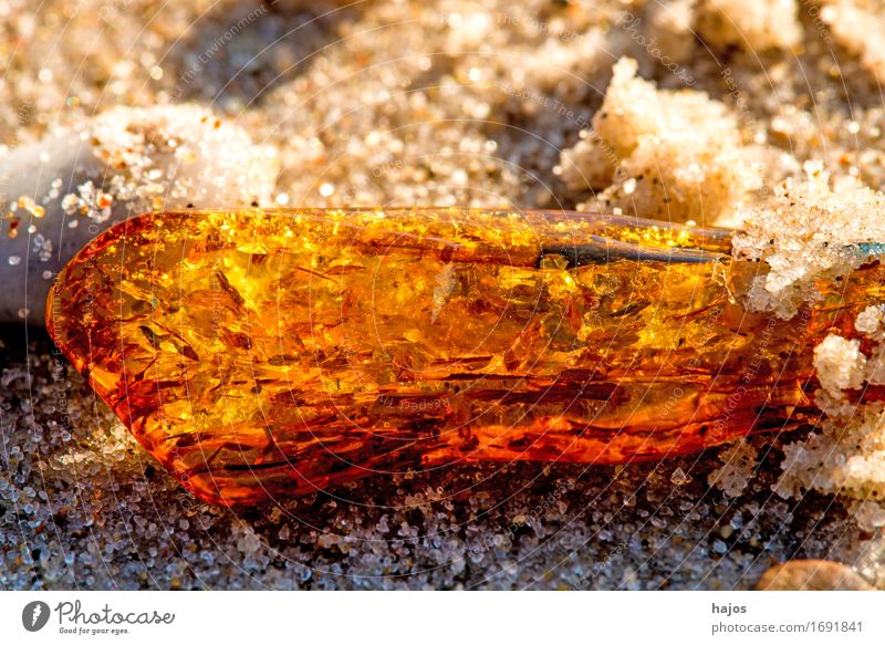 Bernstein am Ostseestrand Alternativmedizin Medikament Strand Sand Stein alt leuchten gelb Fund baltisch Baumharz strahlend Edelstein Halbedelstein Mineralien