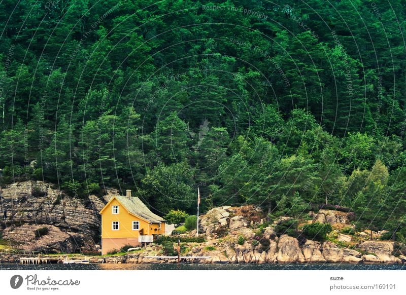 Hier wohnt Peter Fox Ferien & Urlaub & Reisen Berge u. Gebirge wandern Häusliches Leben Wohnung Haus Umwelt Natur Landschaft Urelemente Schönes Wetter Wald