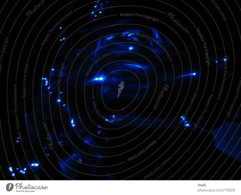 Blue light 5 Lichtspiel dunkel Hund Dinge blau