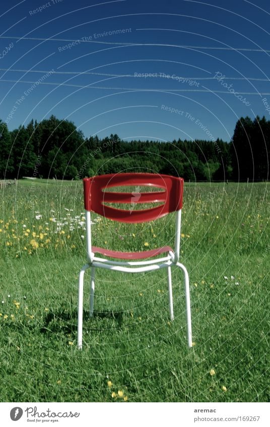 Platz an der Sonne Farbfoto Gedeckte Farben Außenaufnahme Morgen ruhig Ruhestand Natur Landschaft Himmel Wolkenloser Himmel Sommer Schönes Wetter Blume Gras