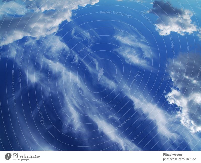Alda den Himmel voll krass umgedreht! Farbfoto Außenaufnahme nur Himmel Wolkenloser Himmel Sonnenlicht Sommer Klimawandel Schönes Wetter beobachten leuchten