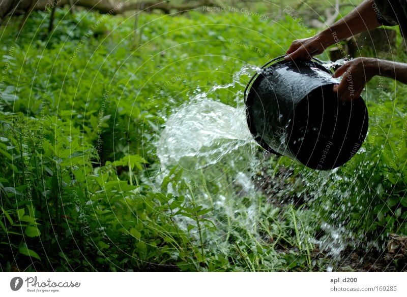 Wasser marsch Farbfoto Außenaufnahme Tag Schatten Zentralperspektive Mensch maskulin Arme Hand 1 Umwelt Natur Frühling Gras grün schwarz Freude Euphorie