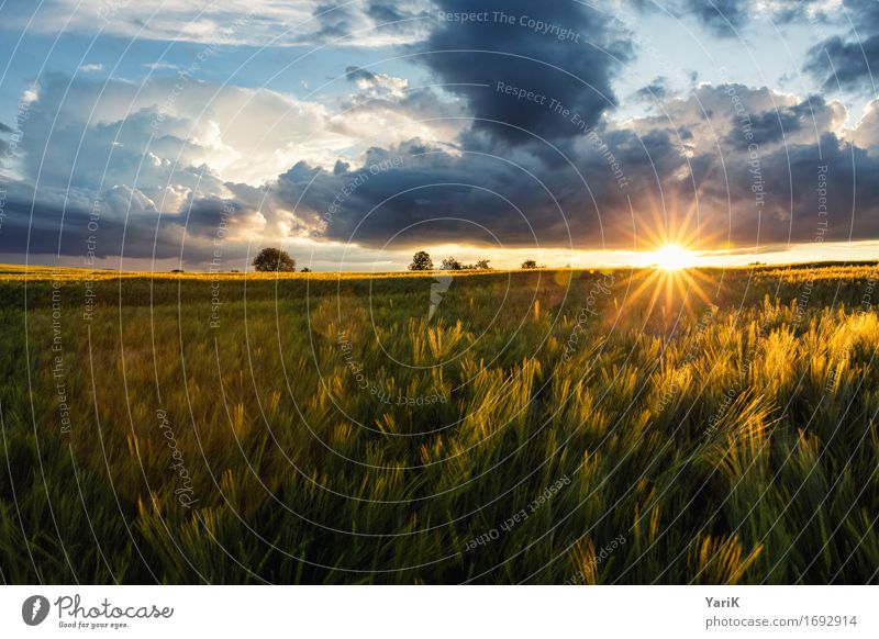 April im Juni I Umwelt Natur Landschaft Urelemente Himmel Wolken Gewitterwolken Sonne Sonnenaufgang Sonnenuntergang Sonnenlicht Sommer Klima Klimawandel Wetter