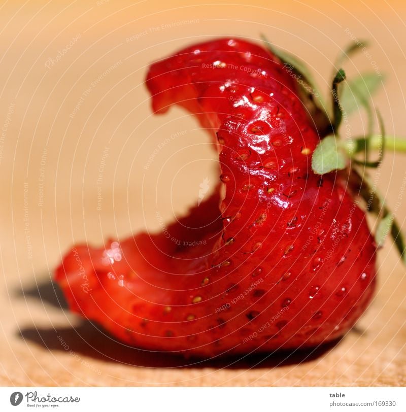 Strawberry Farbfoto Makroaufnahme Sonnenlicht Totale Lebensmittel Frucht Bioprodukte Vegetarische Ernährung Gesundheit Wohlgefühl Gastronomie Pflanze