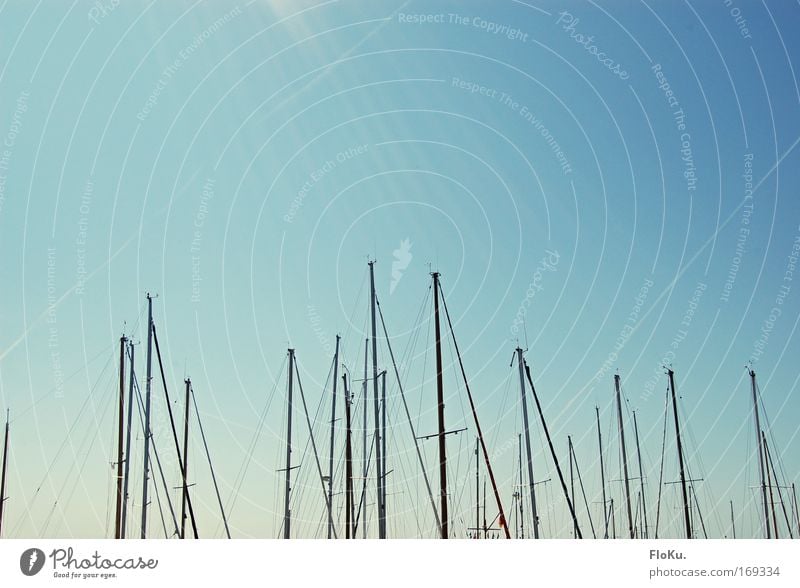 Segel ohne Boote Außenaufnahme Textfreiraum oben Tag Sonnenlicht Sonnenstrahlen Segeln Wasserfahrzeug Bootsfahrt Ferien & Urlaub & Reisen Kreuzfahrt Meer