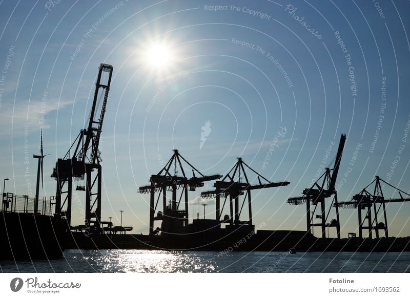 Hamburger Hafen Urelemente Wasser Himmel Wolkenloser Himmel Sonne Sonnenlicht Küste hell maritim nass Wärme blau schwarz weiß Kran Maschine Farbfoto