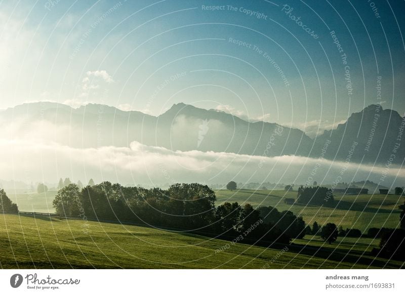 #317 / Morgennebel Ferien & Urlaub & Reisen Ausflug Berge u. Gebirge wandern Umwelt Natur Landschaft Himmel Herbst Wetter Schönes Wetter Nebel Wiese Feld Hügel