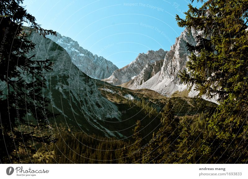 #316 / Berge Ferien & Urlaub & Reisen Tourismus Ausflug Abenteuer Ferne Sommerurlaub Umwelt Natur Landschaft Wolkenloser Himmel Herbst Schönes Wetter Wald Alpen