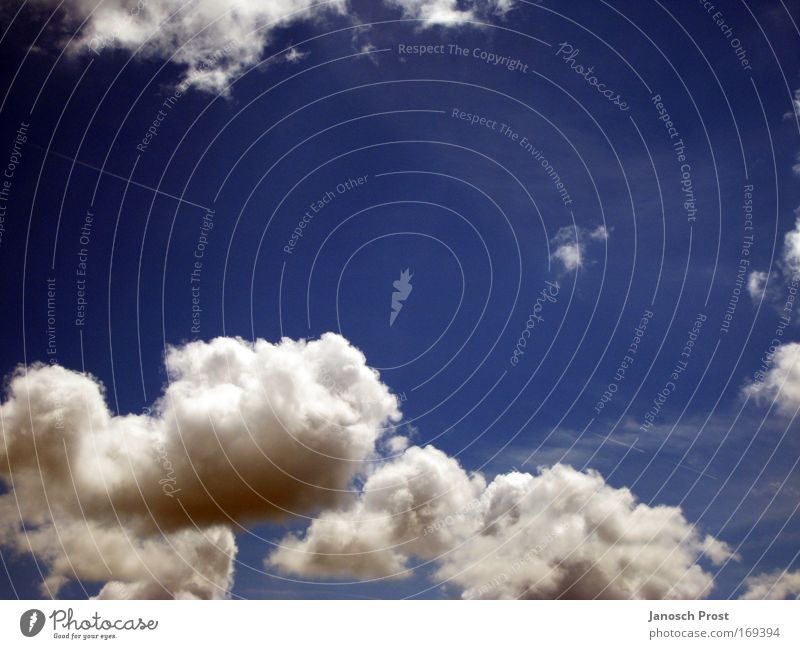 Wolken Freiheit Sommer Himmel nur Himmel Sonnenlicht Klima Klimawandel Wetter blau weiß Leben träumen Unendlichkeit Luft Farbfoto Außenaufnahme Menschenleer