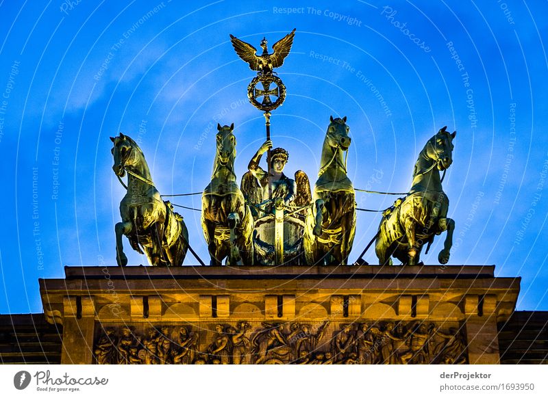 Quadriga in Berlin Blick nach vorn Porträt Froschperspektive Starke Tiefenschärfe Schatten Kontrast Textfreiraum unten Abend Dämmerung Nacht Kunstlicht Licht