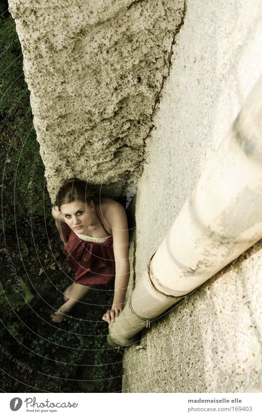 von oben herab Gedeckte Farben Außenaufnahme Schatten Vogelperspektive Blick in die Kamera Blick nach oben schön Haare & Frisuren Haut Gesicht Garten feminin