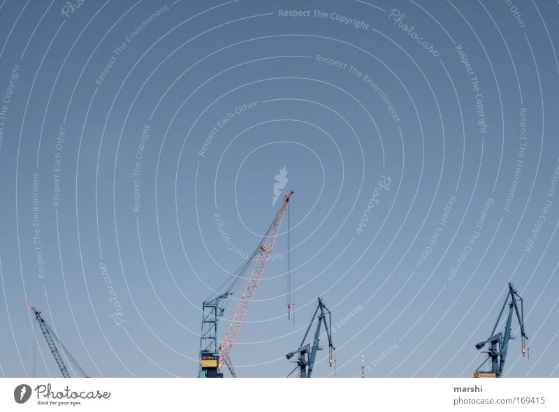 Industrie Farbfoto Außenaufnahme Maschine Hafen hängen hoch blau gelb Verkehrswege heben Kraft Kran Güterverkehr & Logistik Transportfahrzeug Himmel industriell