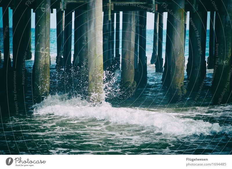 Pier Ferien & Urlaub & Reisen Tourismus Ausflug Abenteuer Ferne Freiheit Sightseeing Schwimmen & Baden Freizeit & Hobby Meer Pazifik USA Anlegestelle Farbfoto