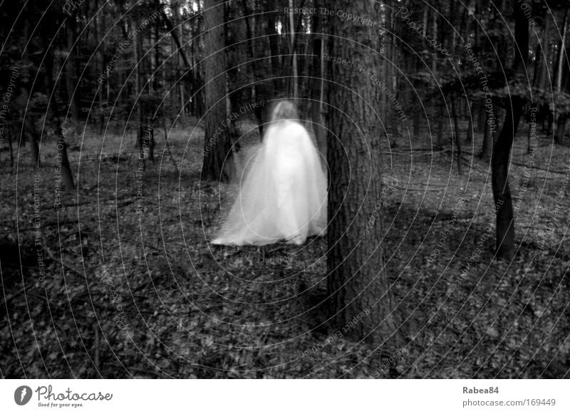 Holla die Waldfee Schwarzweißfoto Außenaufnahme Dämmerung Langzeitbelichtung Bewegungsunschärfe feminin 1 Mensch Natur Baum entdecken ästhetisch außergewöhnlich