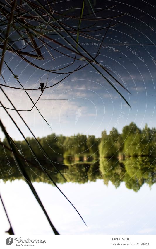 Parallele Farbfoto Außenaufnahme Nahaufnahme Menschenleer Textfreiraum unten Morgen Unschärfe Schwache Tiefenschärfe Froschperspektive Zufriedenheit Angeln