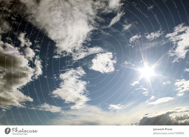 Sonnenstern Sommer Luft Himmel nur Himmel Wolken Sonnenlicht Klima Wetter Schönes Wetter Erholung leuchten frei Unendlichkeit blau weiß Freiheit Lebensfreude