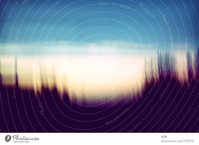 s/o Farbfoto Außenaufnahme Textfreiraum oben Dämmerung Sonnenaufgang Sonnenuntergang Landschaft Himmel Wald blau Bewegung diffus Unschärfe