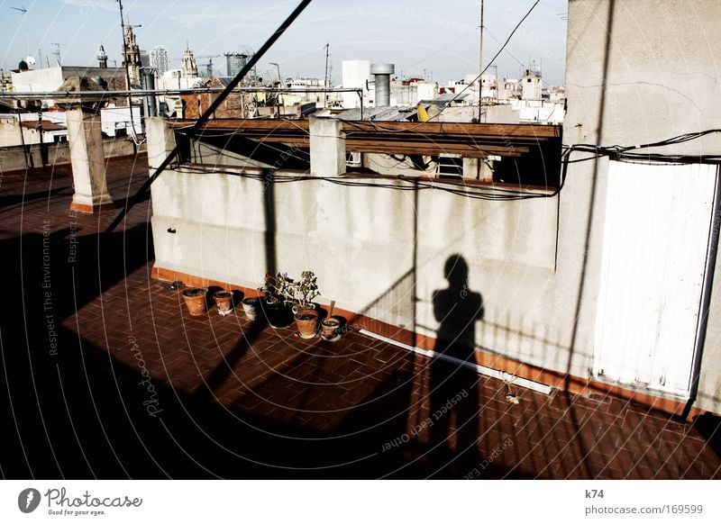 tejado Farbfoto Gedeckte Farben Außenaufnahme Tag Sonnenlicht Mensch Mann Erwachsene Haus Terrasse Dach atmen Tür Blumentopf Garten Silhouette