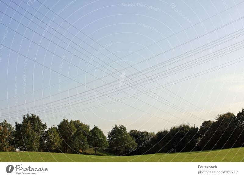 Spuren Außerirdischer? Kabel Technik & Technologie Energiewirtschaft Umwelt Landschaft Himmel Sommer Baum Gras Park Wiese Hügel Düsseldorf Stadtrand Zeichen